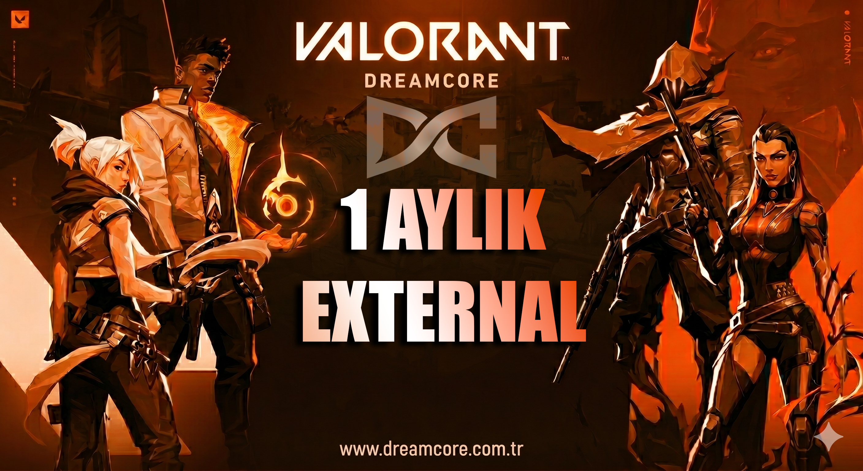 1 Aylık External